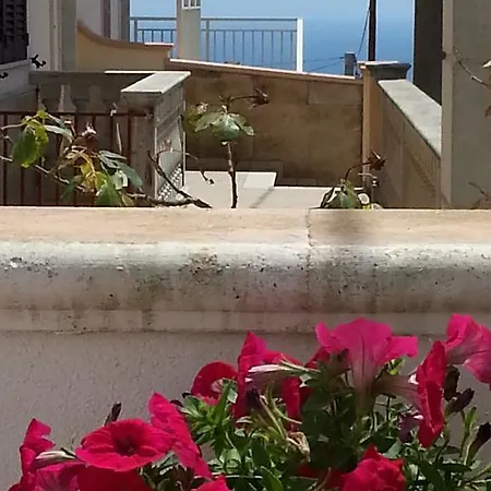 Daire Casa Dolores